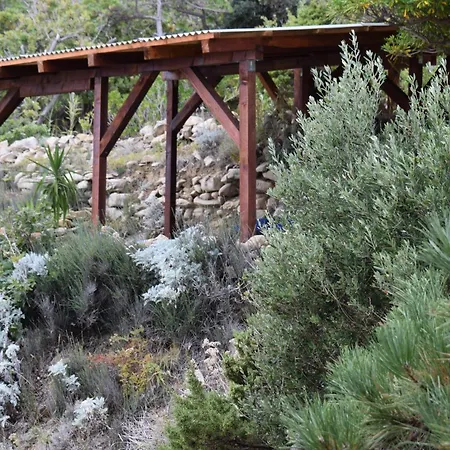 Sortis - For 2 Families And Pets