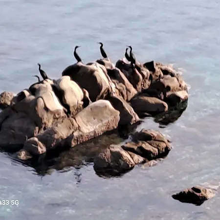 וילה Sortis And Boat Bosana