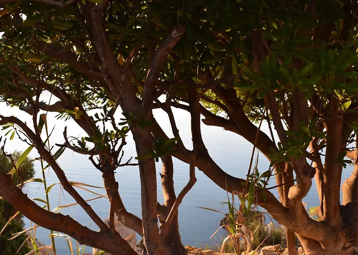 Villa Sortis - For 2 Families And Pets Bosana