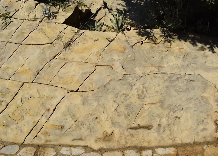 Sortis - For 2 Families And Pets