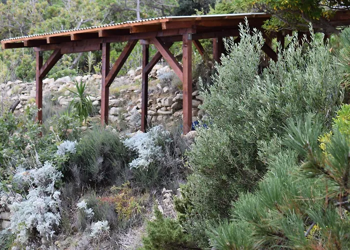 Sortis - For 2 Families And Pets