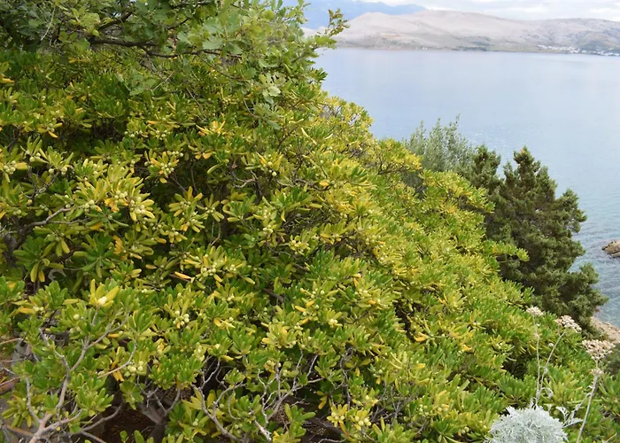 Villa Sortis - For 2 Families And Pets Bosana