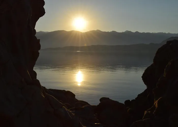 Sortis - For 2 Families And Pets *