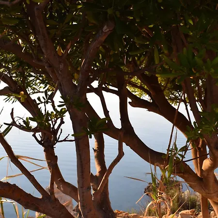 Vila Sortis Bosana