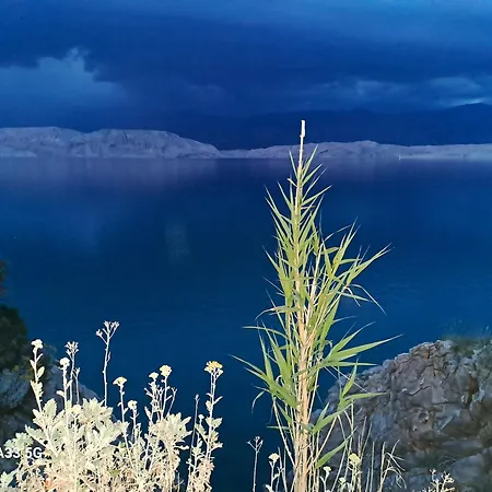 Sortis - For 2 Families And Pets 빌라 Bosana