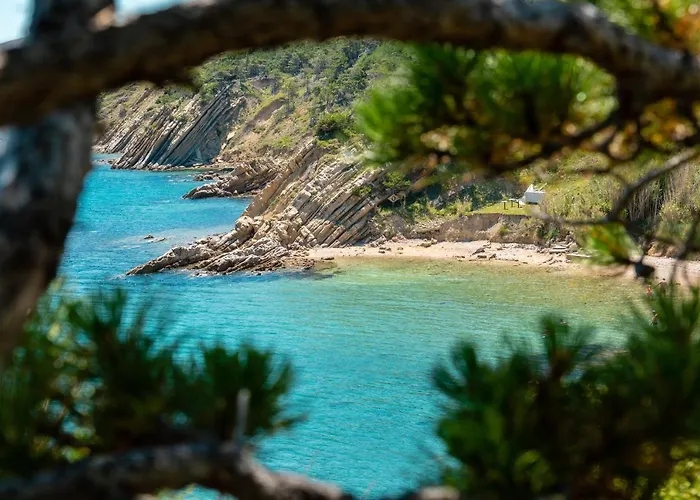 Sortis - For 2 Families And Pets