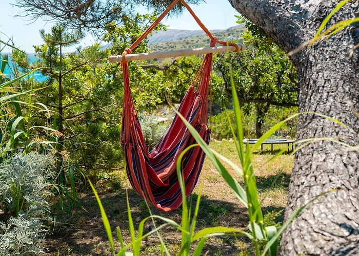 Sortis - For 2 Families And Pets