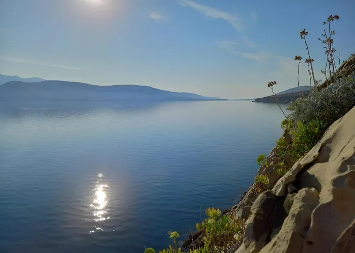 Sortis - For 2 Families And Pets