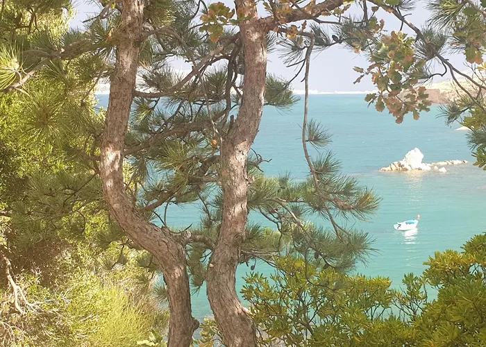 Sortis And Boat * Bosana
