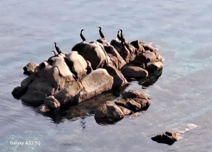 빌라 Sortis - For 2 Families And Pets Bosana